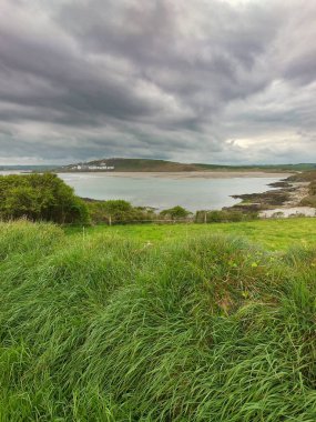 Deniz koyunun yakınındaki tepede sık yeşil çimenler. Clonakilty Körfezi üzerindeki bulutlu gökyüzü, deniz manzarası.