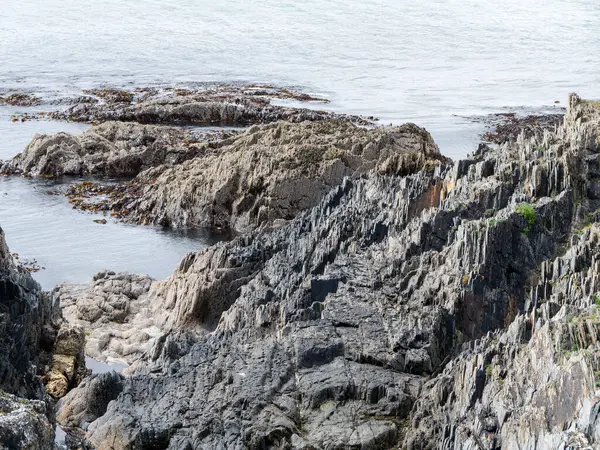 海岸に露出した岩 天気の良い日に海辺 — ストック写真