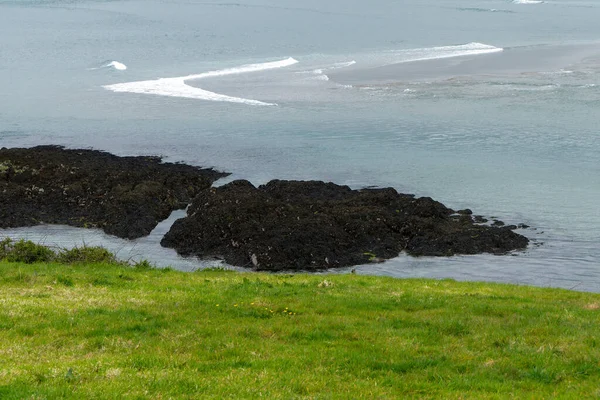 Kamienie Wybrzeżu Zielona Trawa Biała Piana Falach Morskich — Zdjęcie stockowe