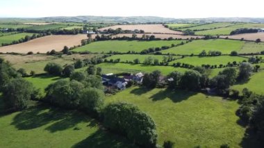 İrlanda 'nın kırsal bölgeleri, County Cork. Ağaçlarla çevrili yeşil çayırlar. Çiftlik alanlarının üst görünümü.