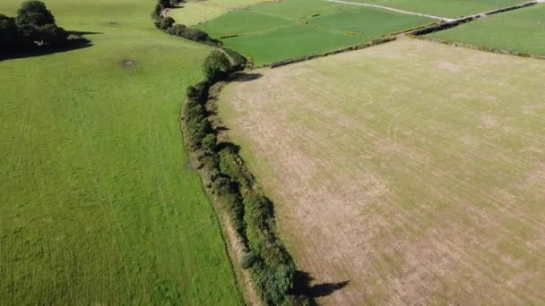 Grønne Felter Udsigt Landbrugsjord Indhegnede Græsgange Til Husdyr Drone Video – Stock-video
