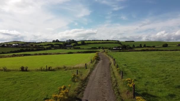 Carretera Entre Los Campos Agrícolas Irlanda Vídeo Del Dron Paisaje — Vídeo de stock