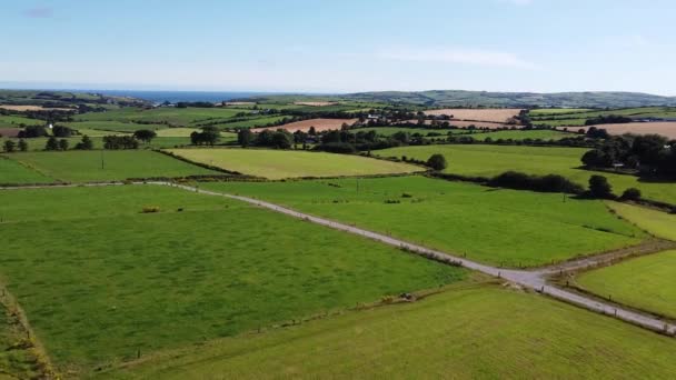 Uma Estrada Entre Pastagens Verdes Agrícolas Sul Irlanda Vista Superior — Vídeo de Stock