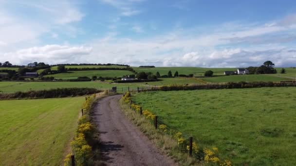 Дорога Среди Фермерских Полей Ирландии Беспилотник Видео Сельскохозяйственный Пейзаж Коровы — стоковое видео