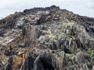 Güneşli bir havada kıyıda açıkta duran kayalar.