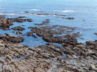 Rocky deniz kıyısı, manzara. Güneşli bir günde sakin bir su yüzeyi.