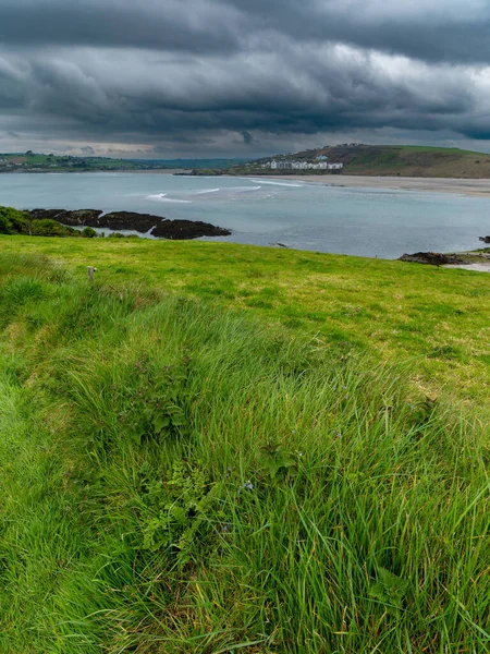 View Clonakilty Bay Cloudy Day Thick Grass Coastline Seaside Landscape — Stock Photo, Image