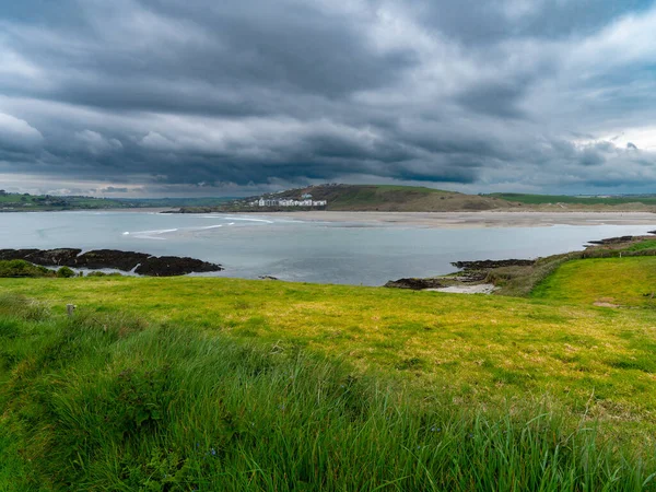 克朗纳基蒂湾的景色 靠近大海的茂密的草丛 爱尔兰南部的海岸线 海滨风景 雷雨前多云的天气 — 图库照片