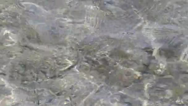 Deslumbramiento Del Sol Agua Cristalina Del Mar Video Ondulaciones Pequeñas — Vídeo de stock