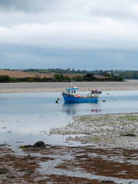 Clonakilty Körfezi. Küçük mavi bir balıkçı teknesi demirli. Deniz yatağını, alüvyonu ve algleri açın. Resimli deniz manzarası.