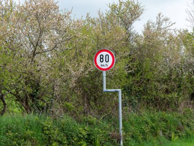 Ağaçların yakınındaki hız sınırlarıyla ilgili yuvarlak yol işareti uyarısı. Hız limiti 80 km. Yeşil ağaçların yanında.