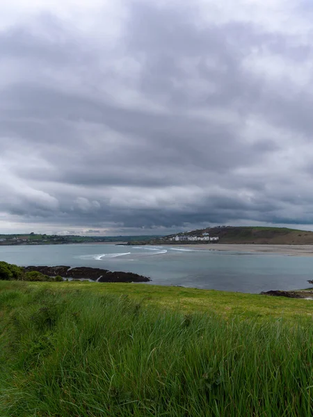 克朗纳基蒂湾的景色 浓密的草地 爱尔兰的海岸线 海滨风景 多云的天气 — 图库照片