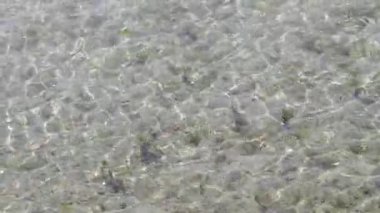 Güneş, berrak deniz suyunun yüzeyinde parlıyor, video. Su yüzeyinde küçük dalgalanmalar ve dalgalanmalar. Su arkaplanı.