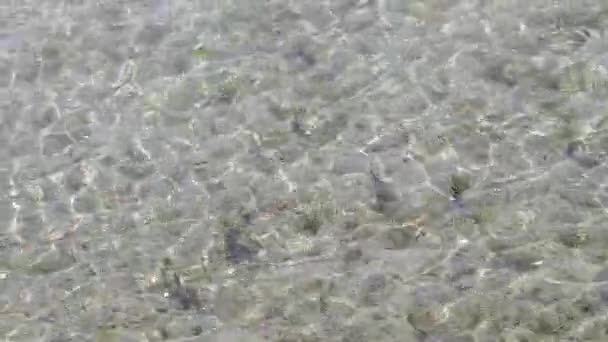 Sonnenlicht Auf Der Oberfläche Des Kristallklaren Meerwassers Video Kleine Wellen — Stockvideo