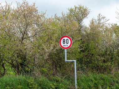 Ağaçların yakınındaki hız sınırlarıyla ilgili yuvarlak işaret uyarısı. Hız limiti 80 km. Yeşil ağaçların yanında.