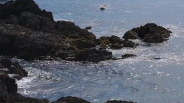 Güneşli bir günde deniz dalgaları kayalık kıyıya vurur. Peyzaj.