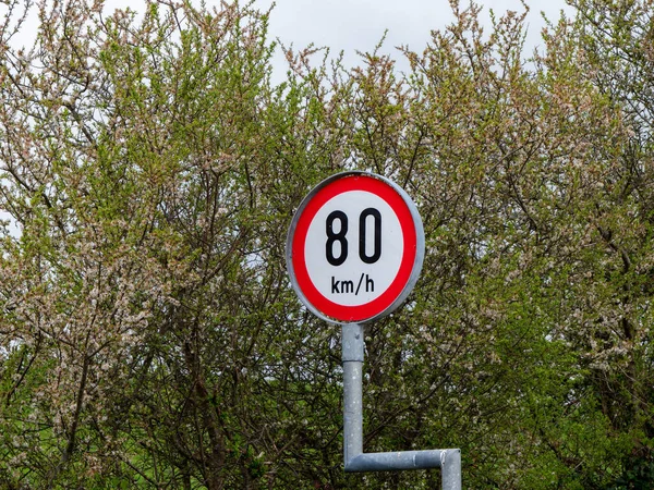 stock image Round sign warning about speed limits, trees. the speed limit is 80 km h. sign near green trees