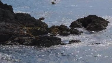 Güneşli bir günde dalgalar kayalık kıyıya vurur. Peyzaj.