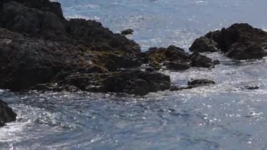 Güneşli bir günde dalgalar kıyıya vurur. Peyzaj.