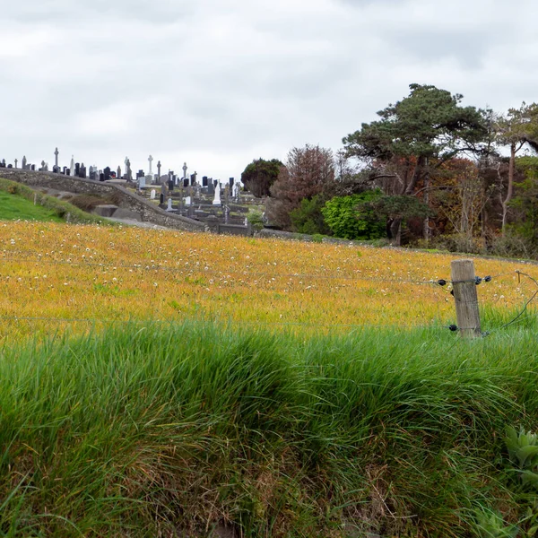 Farmářské Pole Jarního Dne Křesťanský Hřbitov Poblíž Pole Krajina Zelené — Stock fotografie