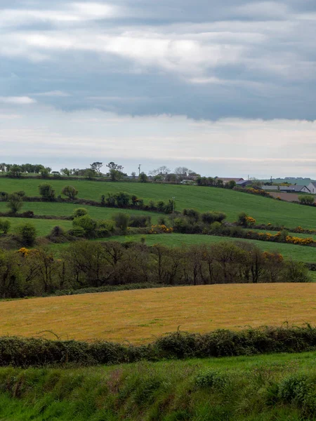 Schilderachtige Ierse Heuvels Onder Een Prachtige Bewolkte Hemel Ierse Natuur — Stockfoto