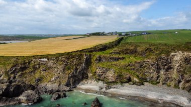 Atlantik Okyanusu 'nun yamaçlarındaki güzel çiftlik arazileri. Clonakilty Körfezi, üst manzara. Deniz Burnu. Drone fotoğrafı.