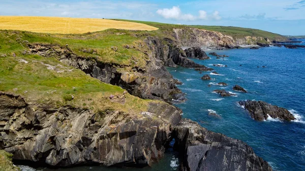 Campos Agrícolas Costa Rocosa Del Mar Céltico Sur Irlanda Condado — Foto de Stock