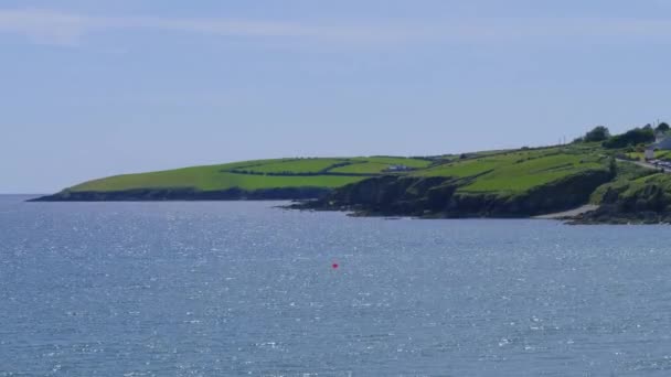 Die Irische Küste Einem Sonnigen Sommertag Küstenlandschaft Süden Irlands Ruhige — Stockvideo