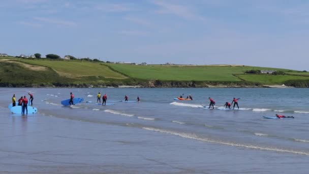 Cork Megye Írország 2022 Augusztus Gyerekek Nyáron Megtanulnak Szörfdeszkán Úszni — Stock videók
