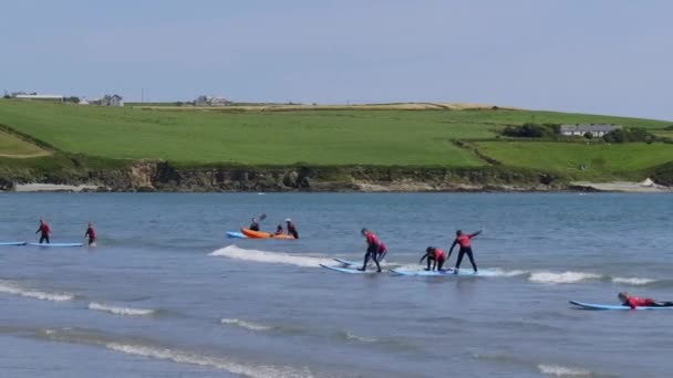 Округ Корк Ирландия Августа 2022 Года Дети Учатся Плавать Досках — стоковое видео