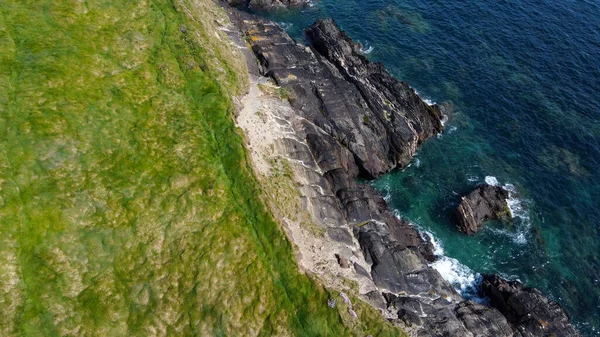 Täta Snår Gräs Stranden Gräsbeklädda Klippor Atlantkusten Irlands Natur Ovanifrån — Stockfoto