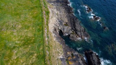 Kıyıda yoğun çim ağaçları var. Atlantik Okyanusu kıyısında otla kaplı kayalar. İrlanda doğası, üst manzara. Drone bakış açısı.