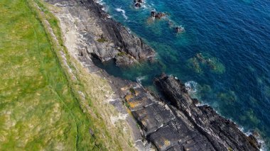 Kıyıda yoğun çim ağaçları var. Atlantik Okyanusu kıyısında otla kaplı kayalar. İrlanda doğası, üst manzara. Drone fotoğrafı.