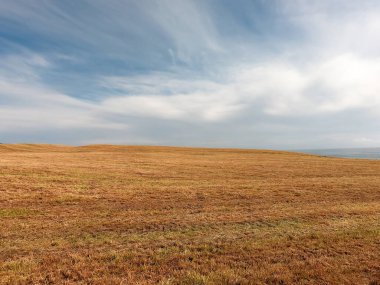Tarlaların üzerinde sirrus bulutları olan güzel bir gökyüzü. Kirli sakallı tarım alanı.