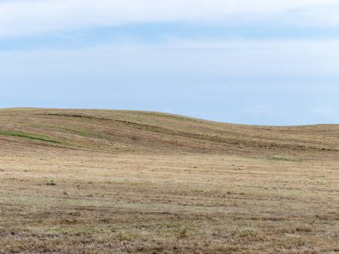 Bir bahar günü mavi gökyüzünün altında sakallarla kaplı tepeler. Minimalist manzara, mavi gökyüzünün altındaki alan..