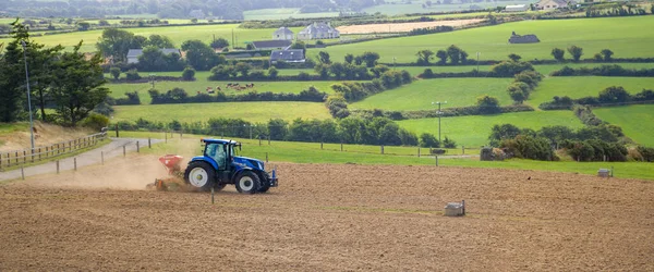 West Cork, İrlanda, 20 Ağustos 2022. Bir traktör, İrlanda 'da bir yaz günü ekili bir tarla eker. İrlanda 'da bir çiftlikte tarım işi, tarım arazisi, tarlada traktör..