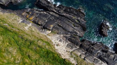 Kıyıda yoğun çim ağaçları var. Atlantik Okyanusu kıyısında otla kaplı kayalar. İrlanda doğası, üst manzara. Hava fotoğrafı. Yukarıdan görüntüle.