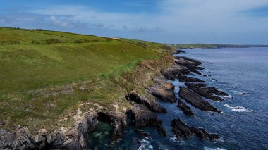 Clonakilty, County Cork yakınlarındaki Kelt Denizi kıyısında bitki örtülü kayalar. Güzel deniz manzarası. Vahşi Atlantik Yolundaki Doğa. Doğal bir cazibe. Drone bakış açısı.