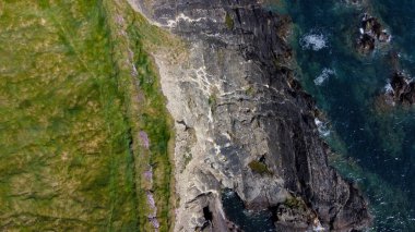 Yoğun çimen çalıları. Atlantik Okyanusu kıyısında otla kaplı kayalar. İrlanda doğası, üst manzara. Hava fotoğrafı.