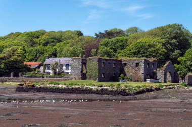 Güneşli bir bahar gününde İrlanda 'nın güneyinde taş kalıntıları. Clonakilty yakınlarındaki Arundel Tahıl Mağazası kalıntıları, West Cork, 16. yüzyıl. Dalgalar çekildiğinde deniz yatağı, ağaçların yanında bina..