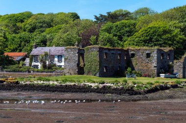 İrlanda 'nın güneyinde güneşli bir bahar gününde taş kalıntıları. Clonakilty yakınlarındaki Arundel Tahıl Mağazası kalıntıları, West Cork, 16. yüzyıl. Dalgalar çekildiğinde deniz yatağı, ağaçların yanında bina..