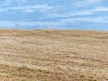 Bir bahar günü mavi gökyüzünün altında sakallarla kaplı tepeler. Minimalist manzara, gökyüzünün altındaki alan.