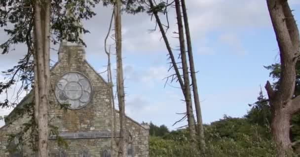 Ψηλά Κωνοφόρα Δέντρα Μπροστά Από Μια Πέτρινη Εκκλησία Του 19Ου — Αρχείο Βίντεο