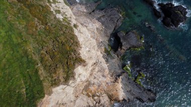 Dense green vegetation on the rocky coast of the Atlantic Ocean. Beautiful seaside landscape.
