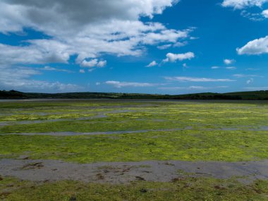 Open seabed after low tide, swampy area. Green hilly landscape on a summer. White clouds in a sky. Irish landscape. The coast of Clonakilty Bay.