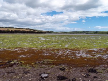 Open seabed after low tide, swampy area. Green hill. White clouds in a sky. Irish landscape. The coast of Clonakilty Bay.