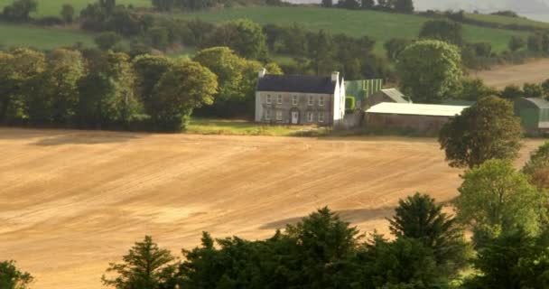 夏の夜には南アイルランドの美しい農場フィールド 畑の近くの木 農業アイルランドの風景 西コルク — ストック動画