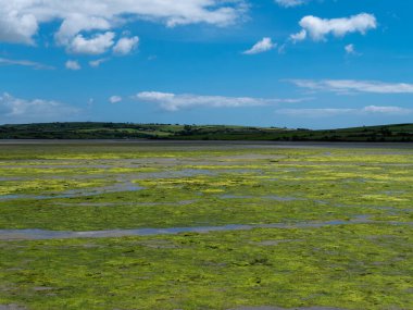 Open seabed after low tide, swampy area. Green hilly landscape. White clouds in a sky. Irish landscape. The coast of Clonakilty Bay.