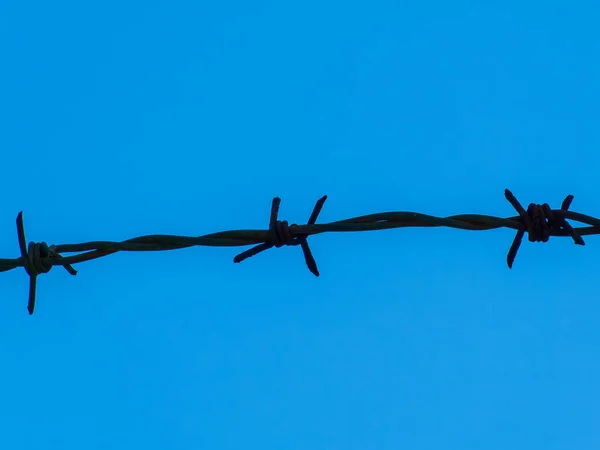 Metal barb wire on a background of sky, close-up. Black barb wire under blue sky, macro.