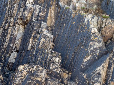 A variety of geological strata as a background, texture.